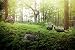 Avian-X Laydown Hen Turkey Decoy variant
