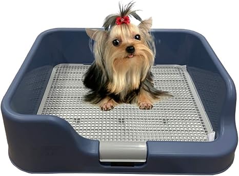 DogCharge] Indoor Dog Potty Tray 