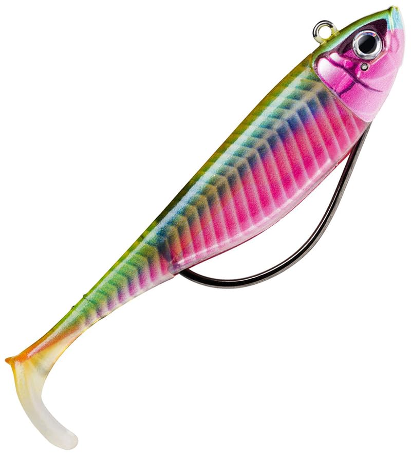 Biscay SHAD 09-10G SSDL
