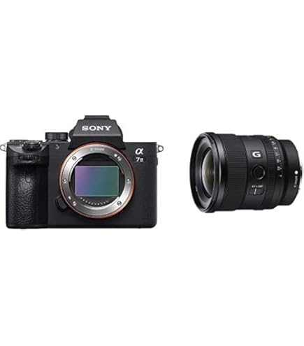 Amazon.com : Sony a7 III Full-Frame Mirrorless Interchangeable
