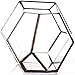 NCYP Small Geometric Terrarium - 4.1