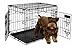 PETMATE 2-Door Training Retreat Wire Kennel