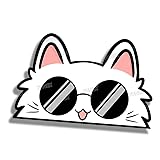 YUNEX 5.1 Inch Funny Sunglasses Cat Peeker Anime