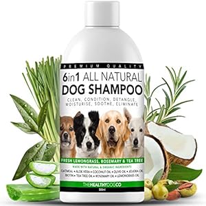 Champú para Perros 6 en 1 Completamente Natural | Citronela, Romero y Árbol de Té | 500ml | Limpia, Condiciona, Desenreda, Hidrata, Alivia la Picazón, Elimina los Gérmenes y los Olores para Perros