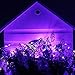 ErChen Solar Powered Copper Wire Led String Lights, 33FT 100 LEDs Waterproof 8 Modes Decorative Fairy Lights for Outdoor Christmas Garden Patio Yard (Purple)