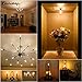 LiteHistory Dimmable T6 led Bulb 40W Candelabra led 2200K Amber 250lm 4W e12 T25 led Bulb 6Pack