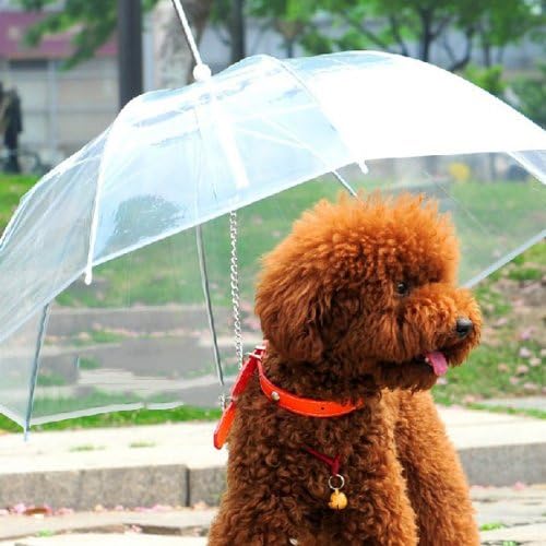 Transparent Waterproof Pet Umbrella Raincoat With Leash.