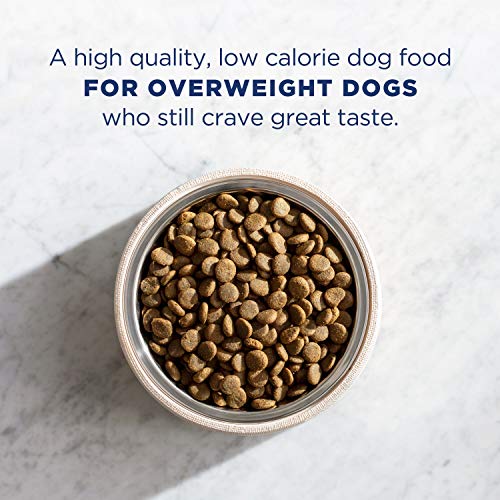 Natural Balance Fat Dogs Low Calorie Chicken Meal Salmon Meal, Garbanzo