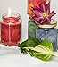 Palm Wax Candle Making Kit