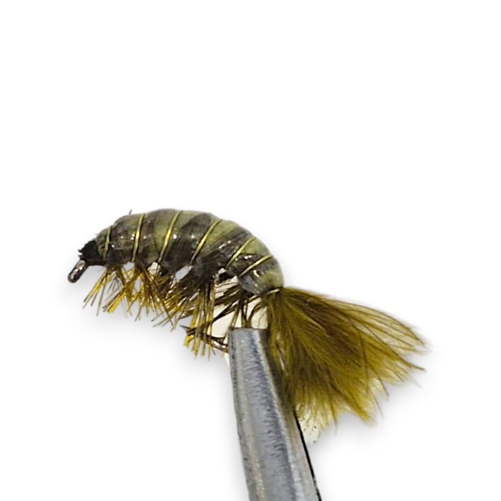 Trout & Grayling Wet Fly Fishing Flies – Czech Nymph Olive Shrimp Pattern #10 Pack of 5