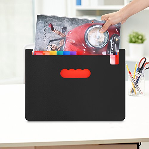 12 Pockets Expanding File Folder, AGPtek Large Capacity A4 Document Organizer with Expandable Stand & Colored Labels, Portable & Works on A4 & Letter Size - Black