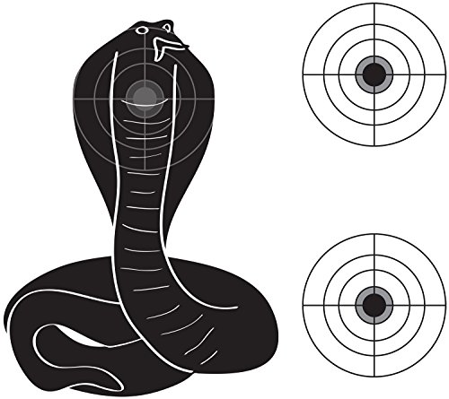 fun shooting targets printable