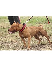 MVP K9 Constructor muscular y rendimiento Suplemento 45 GM