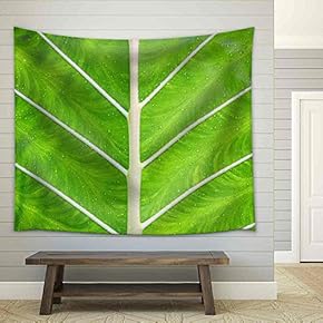 Texture of a Green Leaf as Background - Fabric Wall Tapestry Home Decor - 51x60 inches