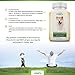 Feed My Pooch Advanced Glucosamine for Dogs with Chondroitin, MSM, Vitamins C & E, Omega 3 & 6 - Extra Strength Hip and Joint Health Supplements for Dogs - Made in USA.