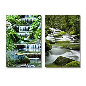 Beautiful Veil Cascading Waterfalls Mossy Rocks 2 Panel...