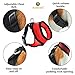 Radiant Red Dog Harness by SunGrow: Comfortable, Soft breathable fabric: Adjustable from 14 to 20”: Safe Padded neck opening: Easy Snap on and off: Secure Straps & D rings