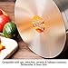 HOMI CHEF Mirror Polished NICKEL FREE Stainless Steel 4.5 Quart Stock Pot with Glass Lid (No Toxic Non Stick Coating, 9.5 Inch)