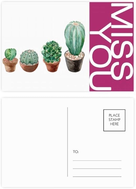 多肉植物サボテンポット植物 イラスト Miss ポストカードセット サンキューカード 郵送側 枚 ポストカード 絵柄付はがき 文房具 オフィス用品 Amazon