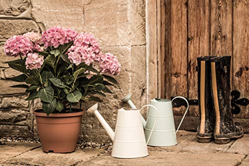 Kitchen Craft Living Nostalgia Watering Can, 2.3 litres, Grey