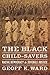 The Black Child-Savers: Racial Democracy and Juvenile Justice