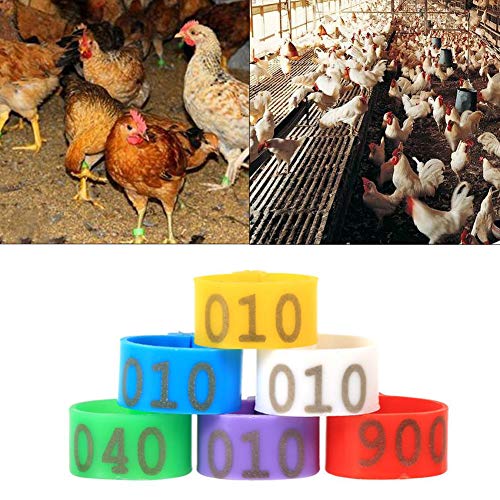 6 Farben 100 Teile/Beutel 16 MM 001-100 Nummerierte Kunststoff Geflügel Hühner Enten Gans Fuà Bande Ringe Clip Geflügel Identifikation Bande(rot) – Bild 6