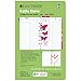 Kathy Davis for Day-Timer 2019 Planner / Appointment Book Refill, 5-1/2