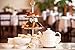 Dilmah | Supreme Ceylon Black Tea | T-series Biodegradable Luxury Leaf Sachets | Food Service Pack | 15% More Tea than Retail Pack | (Pack of 100)
