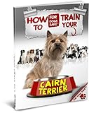 How to Train your Cairn Terrier