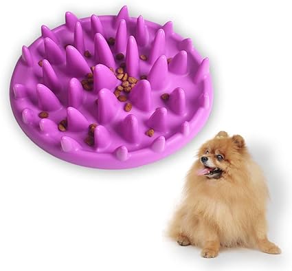 Pet Supplies Andiker Cat Slow Feeder Bowl Non Slip Cat Feeding