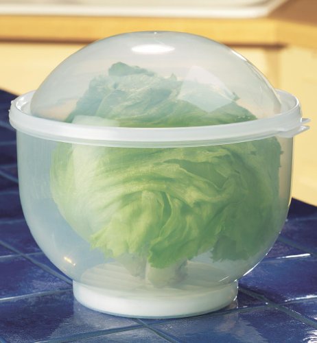 WalterDrake Lettuce KeeperTM - 7" X 8"