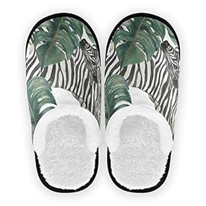 51E%2BRwOmqLL. SS300