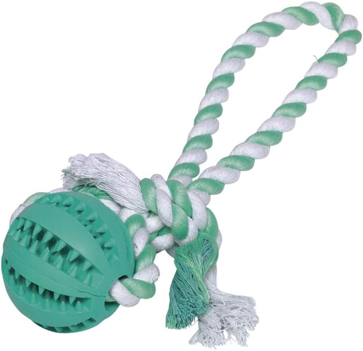 Nobby 61218 Solid Rubber Ball with Rope Dental Line 222 g, Mint, Ball diameter 7 cm, with rope 30 cm