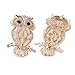 Reizteko Crystal Rhinestone Perched Cute Green Eyed Owl Brooch and Pin Comes with Gift Bag (Beige)