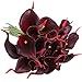 Luyue 20 Pcs Fake Calla Lily Artificial Flowers Bridal Wedding Bouquet Latex Real Touch Flower Home Kitchen Office Decor-Brick Red