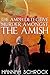 Murder Amongst the Amish by Hannah Schrock