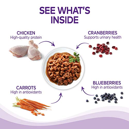 Wellness Grain Free Wet Cat Food Variety Pack - Image 4