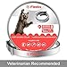 Cat Flea Tick Prevention for Cats | Cat Collar | Cat Flea Collars | Flea Tick Prevention | Cat Flea Treatment | Flea Protection | Pet Flea Collars | Fleas Ticks for Flea Control Cats