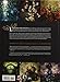 The Art of Alice: Madness Returns