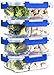 [Improved Larger 4 Set] 2 Compartment Glass Meal Prep Containers with Lifetime Lasting Snap Locking Lids Glass Food Containers BPA-Free, Microwave, Oven, Freezer and Dishwasher Safe (950 ML, 32 Oz.)