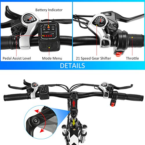 aceshin electric bike