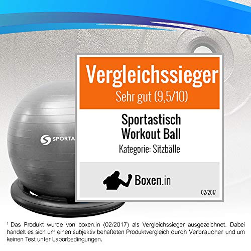 ECCELLENTE-palla-da-ginnastica-Workout-Ball-avec-nastri-di-resistenza-e-pompa-protezione-antiscoppio-65cm-per-principianti-o-professionisti-garanzia-del-prodotto-di-3-anni