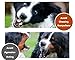 JeonbiuPet Adjustable Dog Muzzle Anti Bite Bark Allow Drink Soft Leather (M)