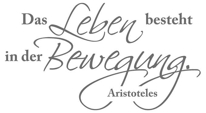 Wandtattoo Zitat Spruch Das Leben Besteht In Der Bewegung