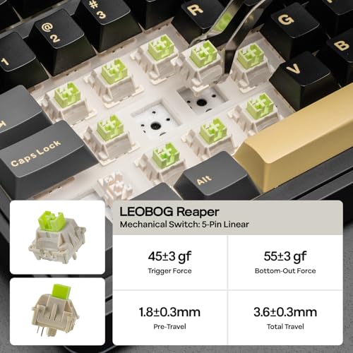 EPOMAKER X Aula EA75 MAX Teclado Mecánico 75% para Juegos Inalámbrico con Pantalla y Perilla, 5000mAh, Hot-Swap, Lubed Switch, RGB, Teclas PBT, Creamy Gasket (Black, Reaper Switch)
