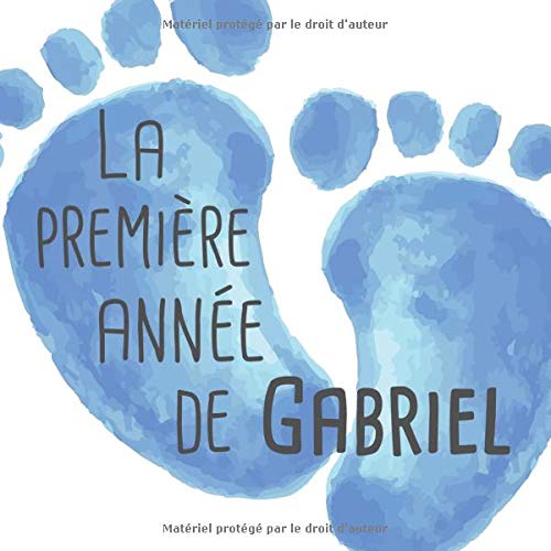La Premiere Annee De Gabriel Album Bebe A Remplir Pour La Premiere Annee De Vie Album Naissance Garcon French Edition Publishing Babymemories Fr Amazon Com Books