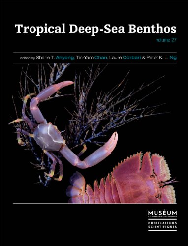 Tropical deep-sea benthos
