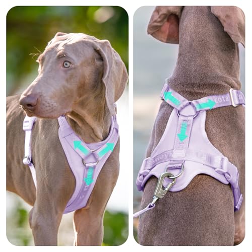 Sunraymascota Soft Lycra Padded Dog Harness,Mesh Breathable Comfortable Vest,Adjustable Size for Small Medium Large Breeds Safe with Two Buckles (Light Purple,M)
