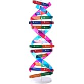VIUJUH DNA Double Helix Model, Biology Science Educational Aid for Students | Color-Coded DNA Double Helix Model, Hands-On Biology Teaching Aid for Classroom Homeschool Science Fair