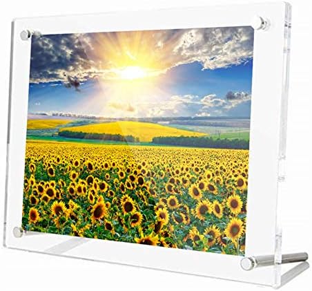 アクリルフレーム フォトフレーム 額縁 A3サイズ 壁掛け 横縦置き兼用 写真立て クリアフレーム